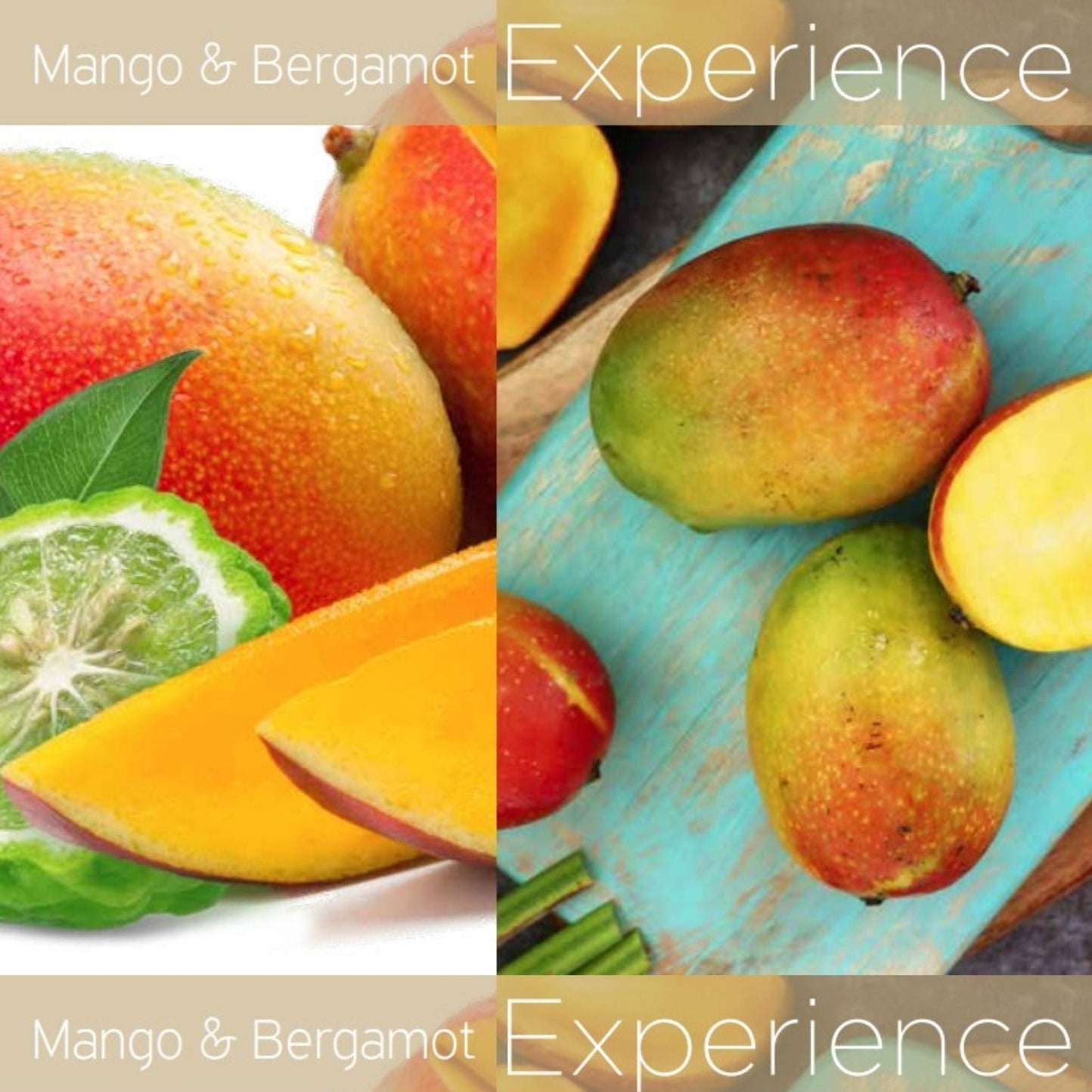 Mango & Bergamot Cuticle Oil 2.5oz