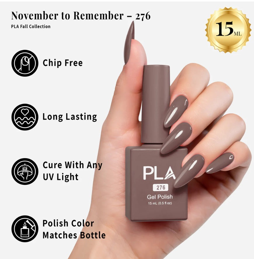 November to Remember - 276