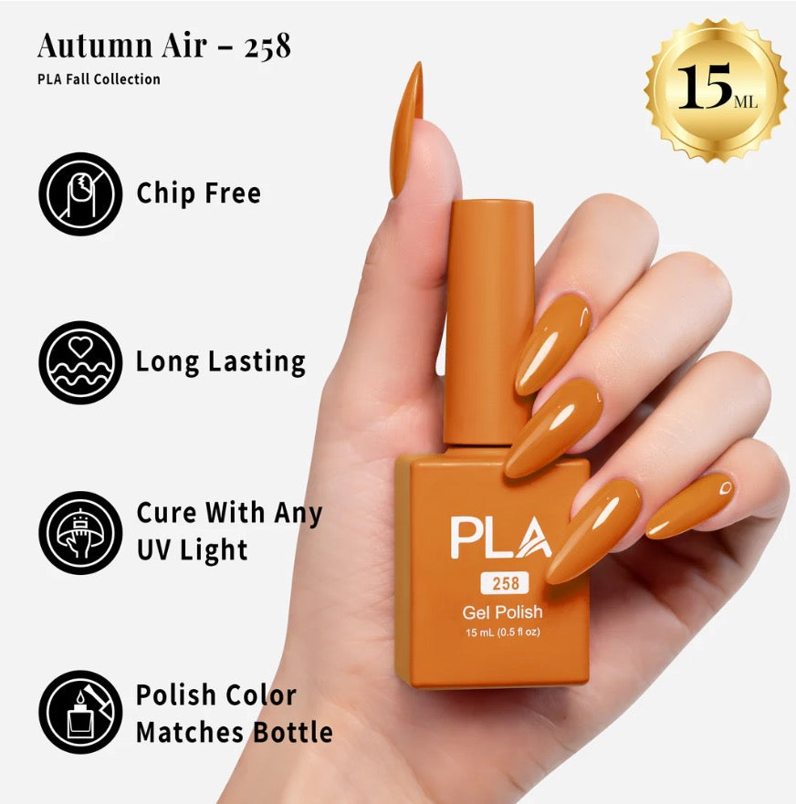 Autumn Air - 258