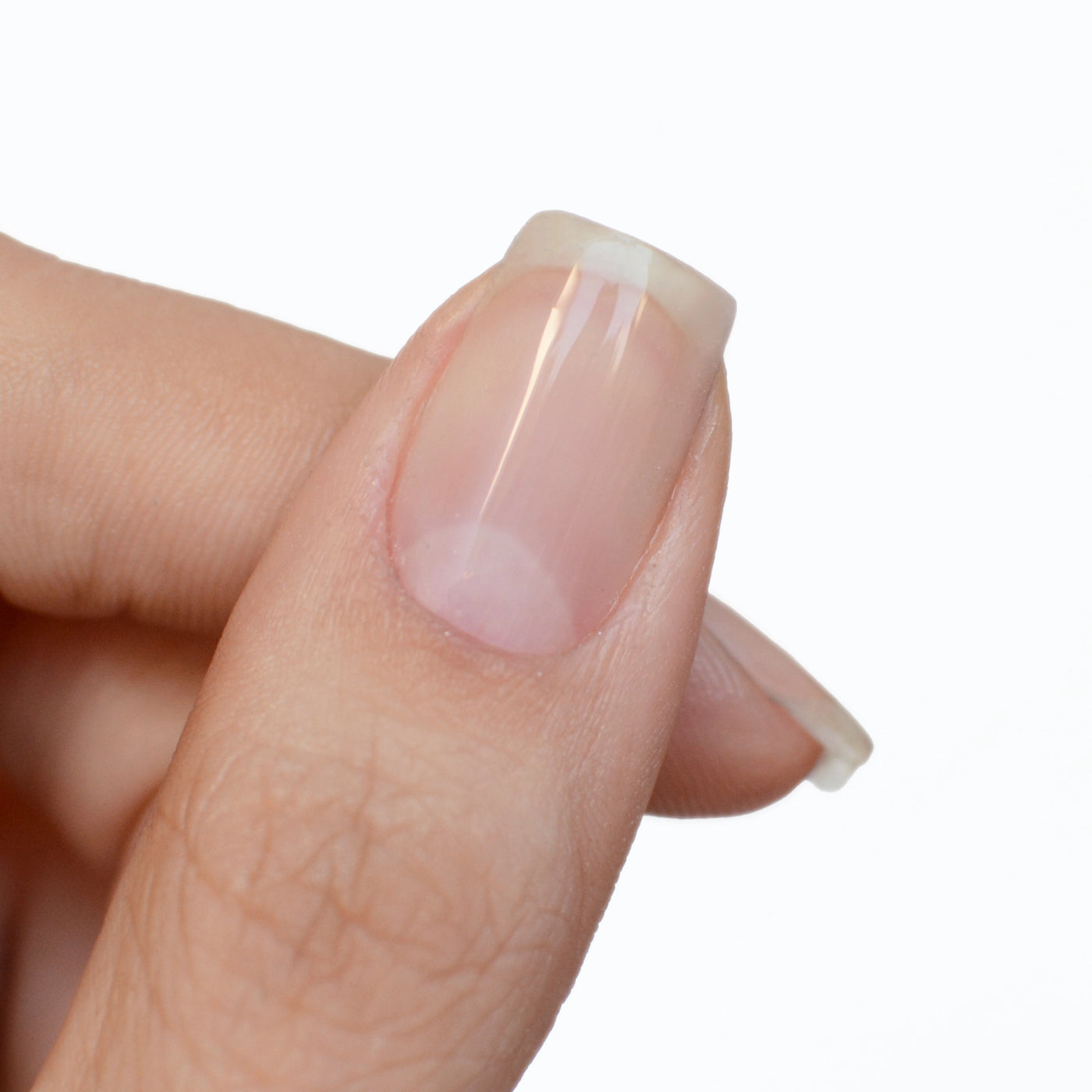 BUILDER GEL IN A POT - CLEAR